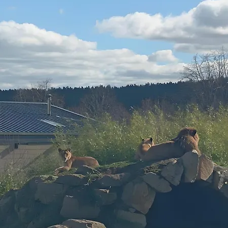 De La Fermette Aubepines Rentieres