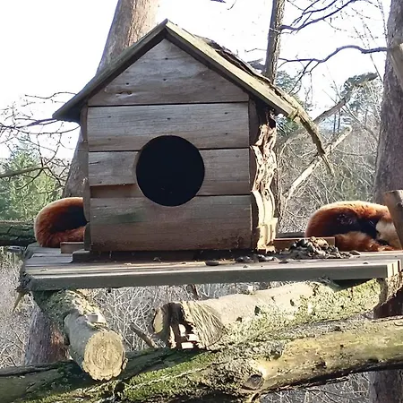 De La Fermette Aubepines