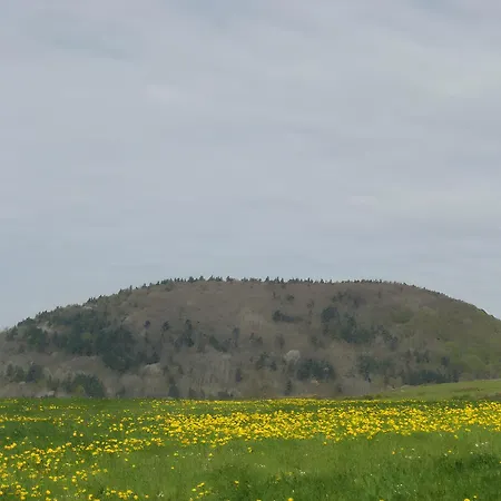 Lejlighed De La Fermette Aubepines