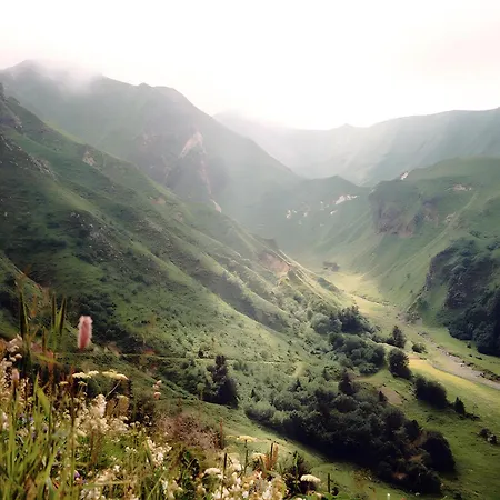 De La Fermette Aubepines *